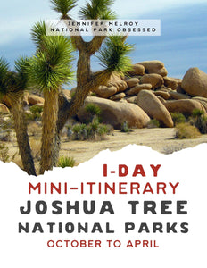 Mini  1-Day Joshua Tree National Park Itinerary