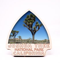 Load image into Gallery viewer, Joshua Tree National Park Arrowhead Photo Frame