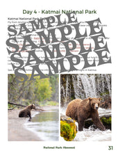 Load image into Gallery viewer, 21 Day 8 Alaska National Park Itinerary