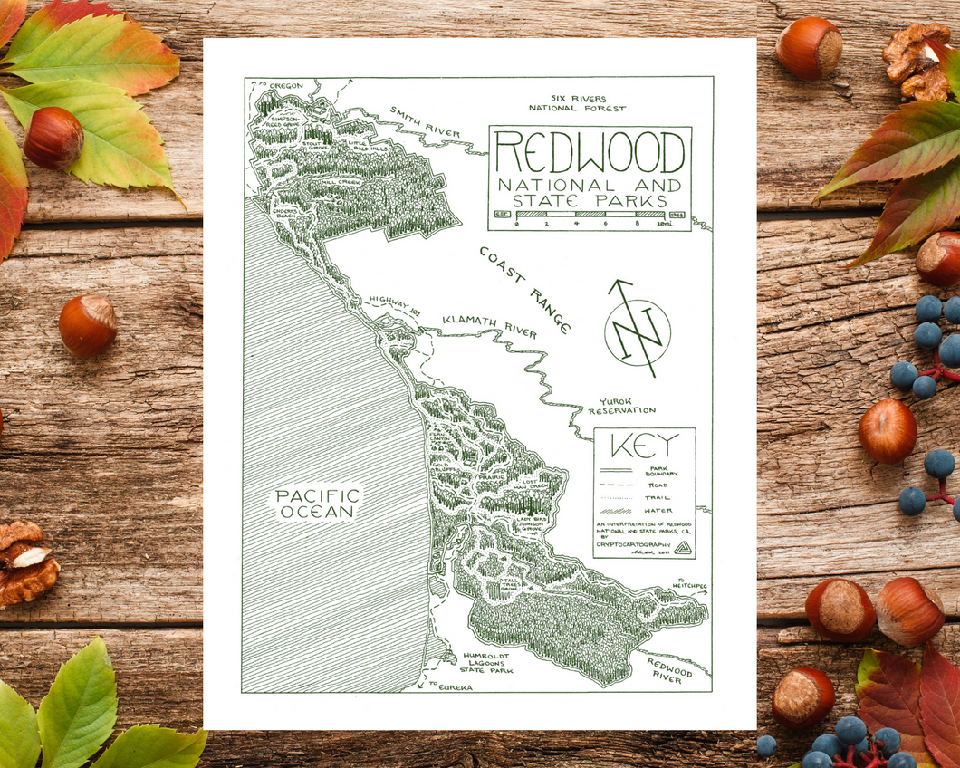 Redwoods National and State Park Map Hand-Drawn Print