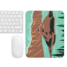 Load image into Gallery viewer, Mouse pad