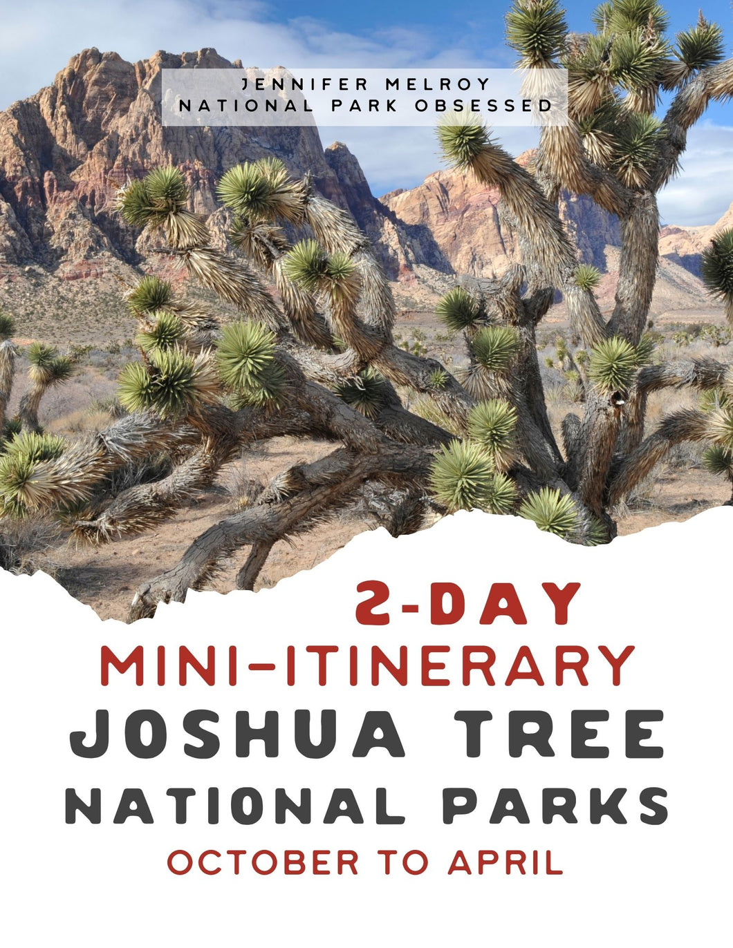 Mini  2-Day Joshua Tree National Park Itinerary