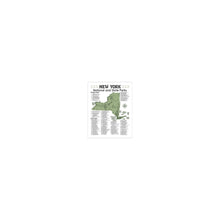 Load image into Gallery viewer, New York State and National Park Map | New York National Park Poster | New York State Park Poster