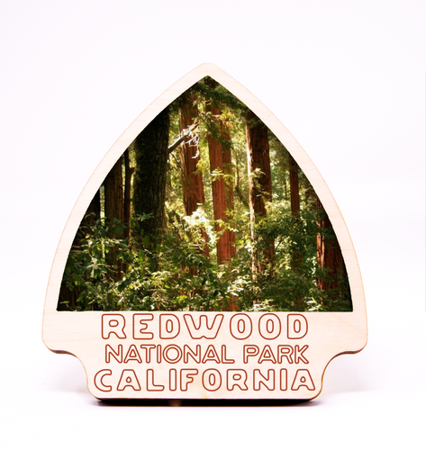 Redwood National Park Arrowhead Photo Frame