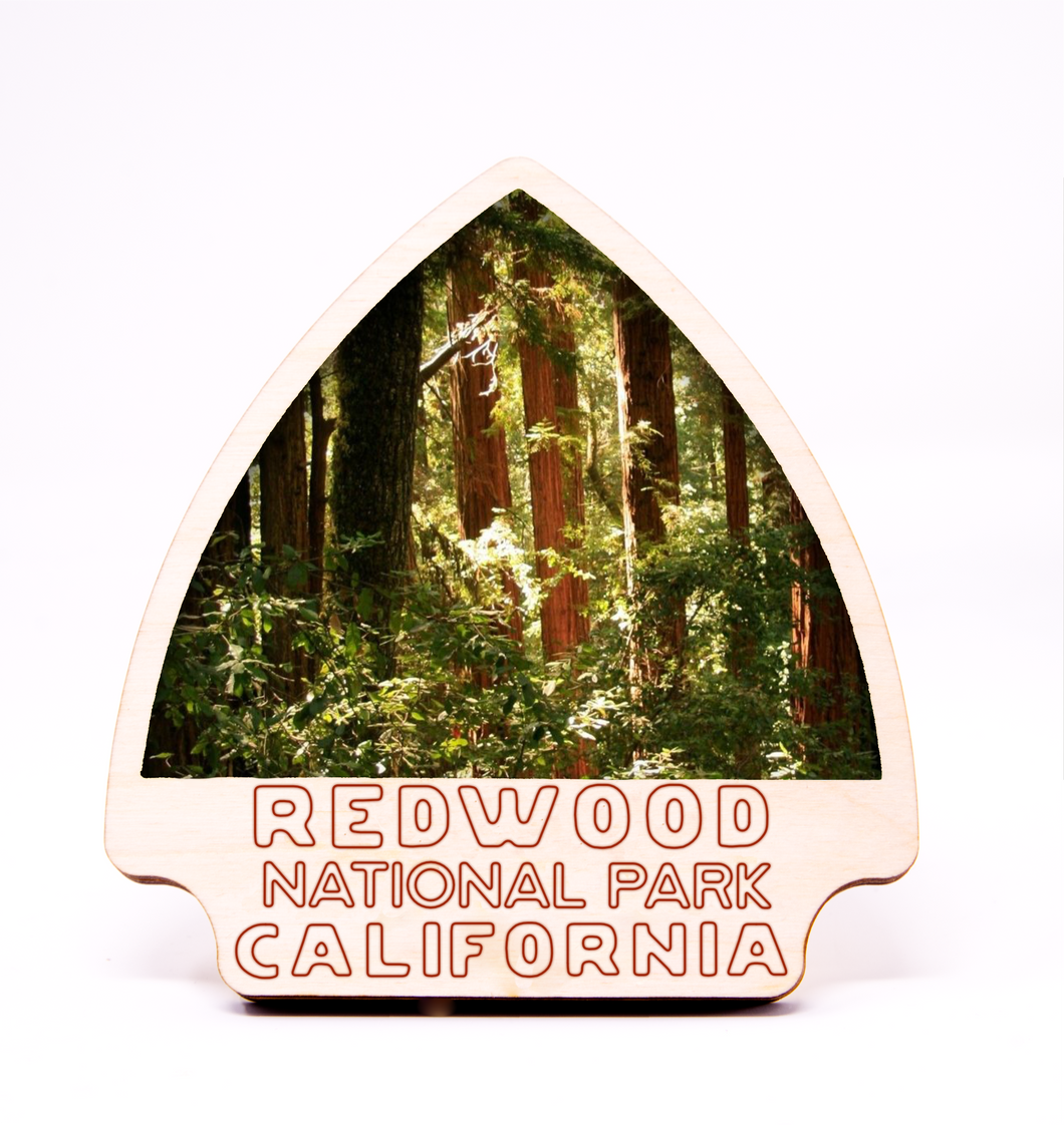 Redwood National Park Arrowhead Photo Frame