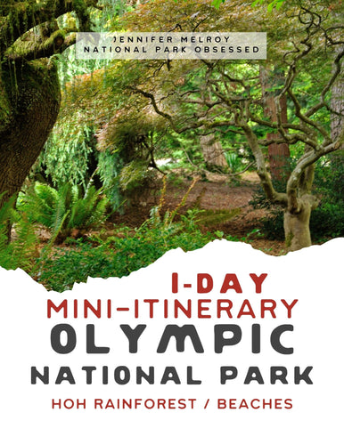 Mini  1-Day Olympic National Park Itinerary - Beaches & Hoh Rainforest