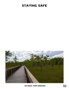 Mini  1-Day Everglades National Park Itinerary - Royal Palm/Flamingo