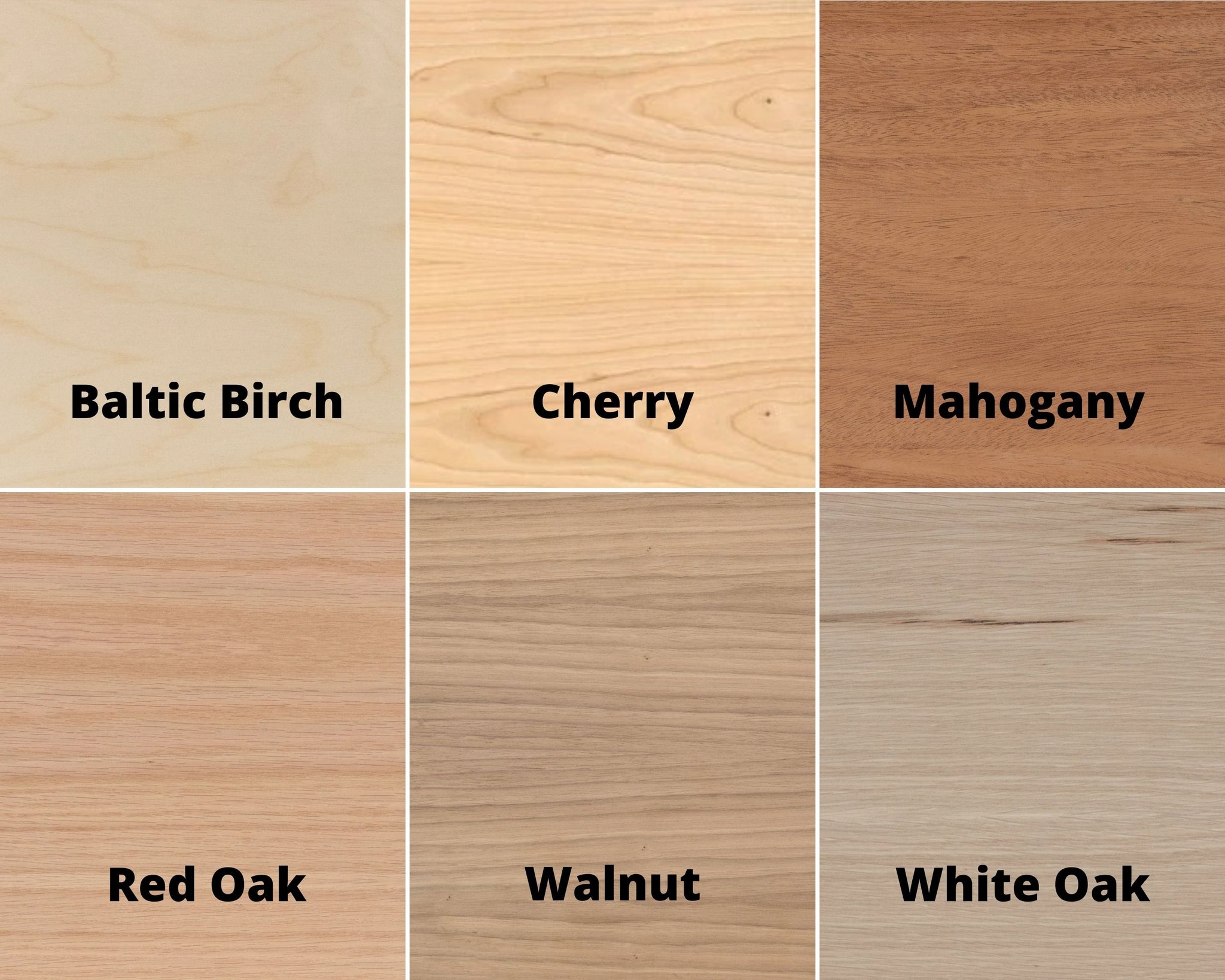 Junior Ranger Badge Display – National Park Obsessed