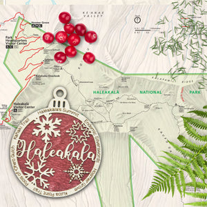 Haleakala National Park Christmas Ornament - Round