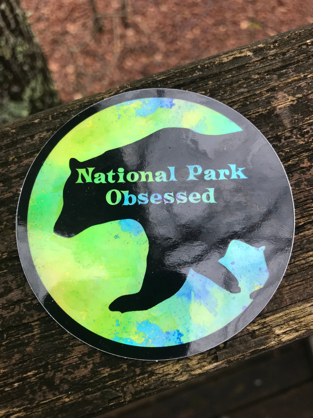 National Park Obsessed Holographic Bear Sticker
