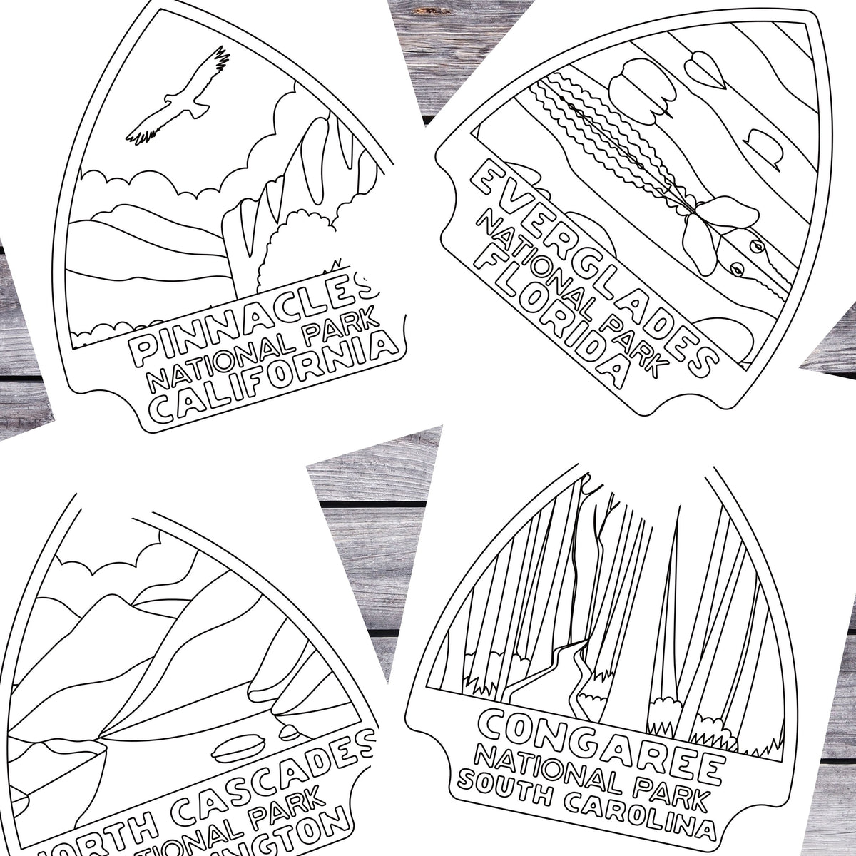 National Parks Coloring Booking: Color Your Way Through the US Nationa ...