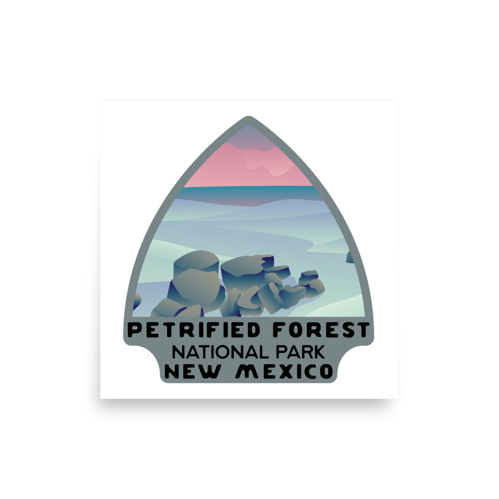 Petrified Forest National Park Poster