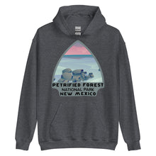 Load image into Gallery viewer, Petrified Forest National Park Hoodie