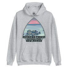 Load image into Gallery viewer, Petrified Forest National Park Hoodie