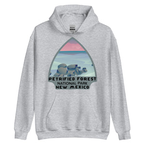 Petrified Forest National Park Hoodie